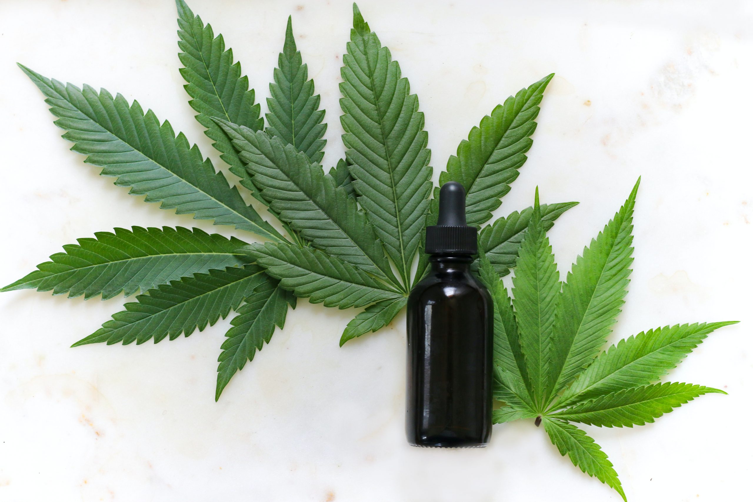 Lisbon Court of Appeal – tobacco products and medicinal cannabis are similar goods